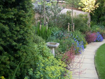 A wide sweeping path leads to the bench at the bottom of the garden