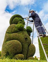  clipping topiary