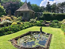 formal pond with planting