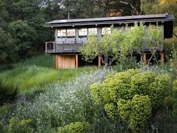 Euphorbias can make a stunning statement in the garden
