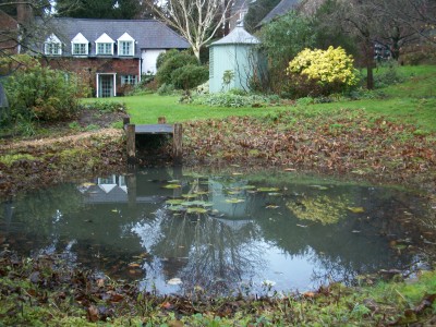 autumn pond maintenance