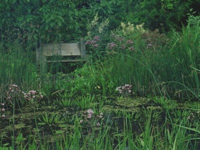 by Arcadia, wildlife pond, Tonbridge Wells.by Arcadia, wildlife pond, Tonbridge Wells.