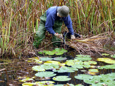 Specialist Gardening