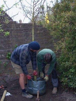 Tree Planting